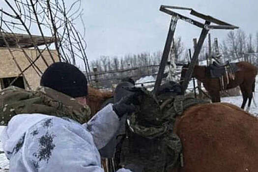 Clash Report: военные РФ приделали к лошади терминал Starlink