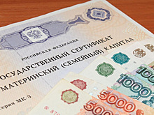 Россияне стали в четыре раз реже обращаться за материнским капиталом