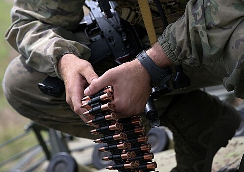 В Госдуме оценили шанс военного столкновения России и Польши