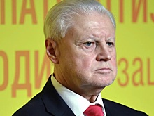 Многодетных родителей предложили отпускать на пенсию досрочно