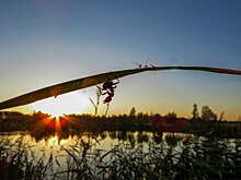 В Курске откроется выставка к 100-летию Евгения Носова