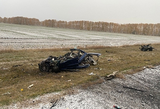 «БМВ» разнесло в клочья: под Омском водитель погиб, выехав на встречку под «Камаз»
