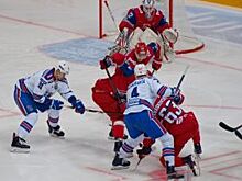 Ярославский депутат предложил разогнать хоккейный клуб «Локомотив»