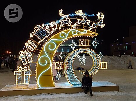 Новый год в Ижевске: праздничную программу 6 января посвятят домашним питомцам