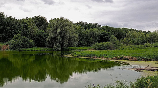 В Самарской области продолжают следить за ситуацией с загрязнением реки Падовки