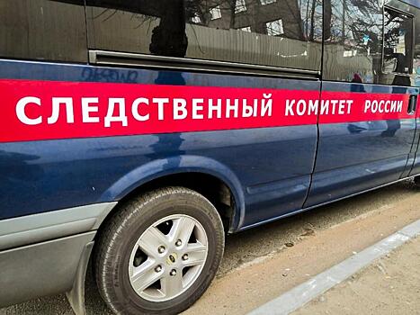 Следователи начали проверку по информации о подстреленной школьнице в Краснокаменске