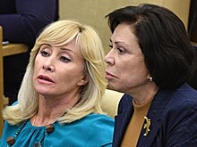 Депутат потребовала проверить противников «Матильды» на экстремизм