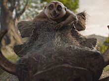 Тимон и Пумба — на новом кадре фильма «Муфаса: Король Лев»