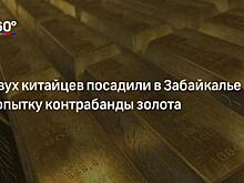 Частным лицам на Дальнем Востоке предложили разрешить добычу золота