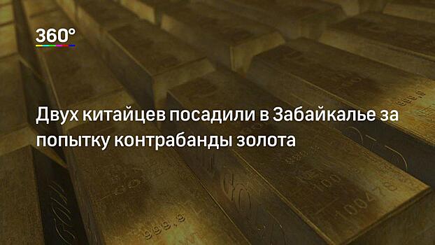 Частным лицам на Дальнем Востоке предложили разрешить добычу золота