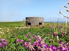 Лагерь поисковиков из Удмуртии пострадал во время цунами на Курильской гряде