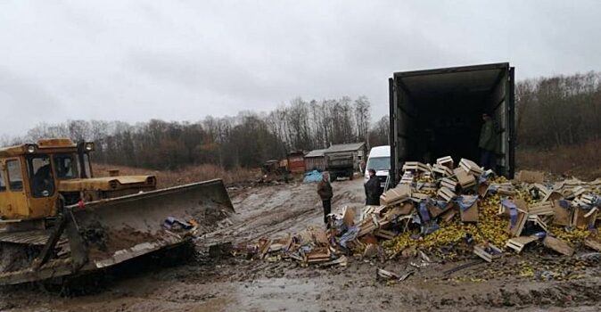 Свыше 20 тонн польских груш уничтожено на спецполигоне ТБО под Псковом