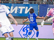 «Динамо» вынесли предупреждение из-за кота