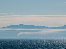 Ликвидатор отходов Байкальского ЦБК заверил свою технологию несуществующим заключением РАН: Новости ➕1, 21.01.2022