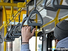 В Кургане приостановили льготы школьникам и пенсионерам на проезд в транспорте