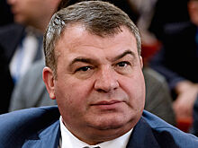 Сердюков съехал от Васильевой