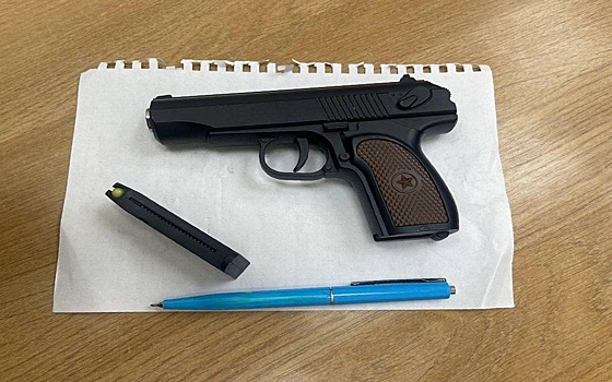 Рязанский минобр рассказал о "стрельбе" из игрушечного пистолета в школе №47