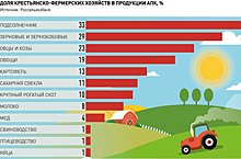 Торговые сети пообещали особые условия для фермерской продукции