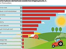 Торговые сети пообещали особые условия для фермерской продукции