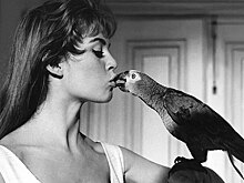 Эмоциональный интеллект: почему его необходимо развивать и как в этом помогает актерское мастерство