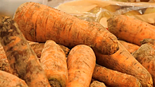 Ямальский врач рассказал о пользе моркови при профилактике онкологии
