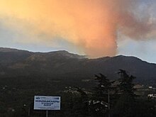 Пожар под Ялтой разросся до 15 гектаров