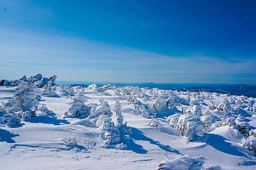 Эксперты рассказали о самых недорогих горнолыжных курортах в России