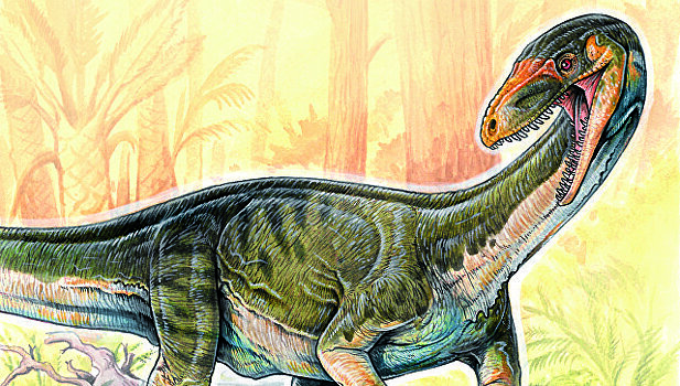 Предок динозавров оказался похожим на крокодила