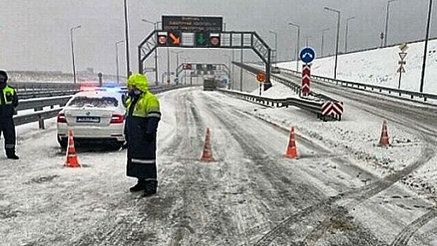 На Крымском мосту проводят спецоперацию по спасению енота