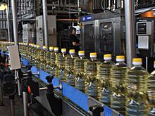 Топ российских регионов лидеров по экспорту растительного масла 2022