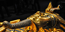 100 лет назад открыли гробницу Тутанхамона: как это было?