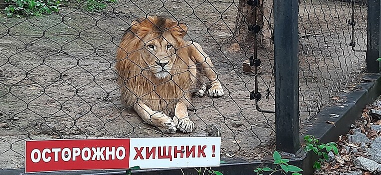 В хабаровском зоосаде побывала внеплановая проверка