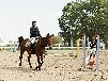 Сотрудник ИК-2 Вологодской области стала победителем регионального Кубка Федерации по конному спорту