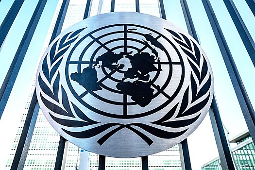 В ООН следят за делом об убийстве гражданки США иммиграционной службой