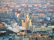 Половину закупок в этом году провели по типовым контрактам