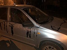 В Балакове вандалы краской изрисовали несколько автомобилей