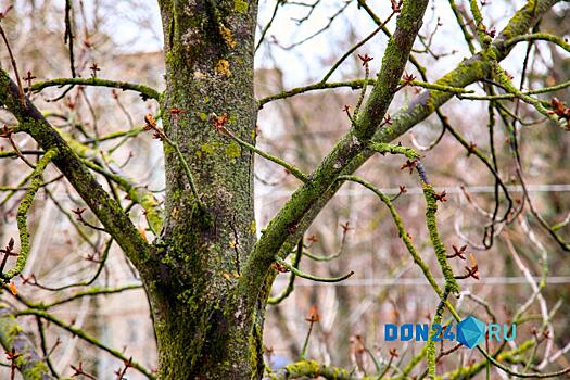 В воскресенье ростовчан ждет пасмурный день