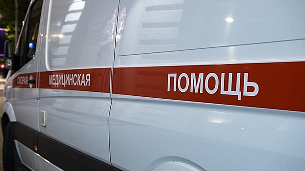 Под Новосибирском вертолет экстренно посадили на трассу