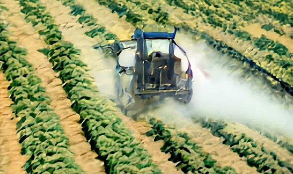 О каких проблемах со здоровьем сои подскажут листья