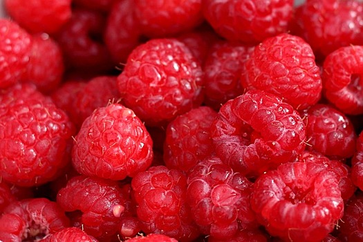 Ученые: употребление в пищу ягод помогает предотвратить рак