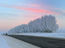 Синоптик рассказал, когда в центральную Россию придут арктические морозы