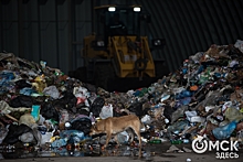 В Омске подешевеет вывоз мусора после открытия старых свалок