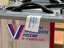 Виктор Сойфер – о голосовании на выборах Президента РФ: "Видно, что активность очень хорошая"