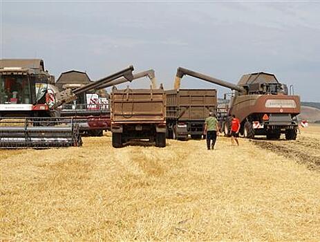 Агрохолдинг "Зерно Жизни" уже собрал 150 тысяч тонн зерновых