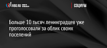 Больше 10 тысяч ленинградцев уже проголосовали за облик своих поселений