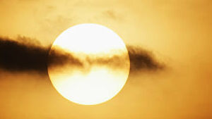 Пассажира сняли с самолета во Владивостоке за отказ надеть маску