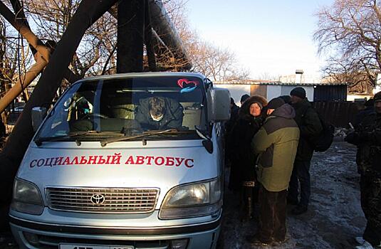 Бесплатная еда на 31 число. В Приморье приготовили новогодний подарок