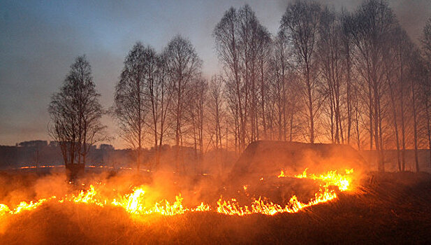 Жители Хабаровска выйдут на пикет против задымления от сжигания сухой травы