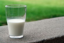 В России началась маркировка молочной продукции