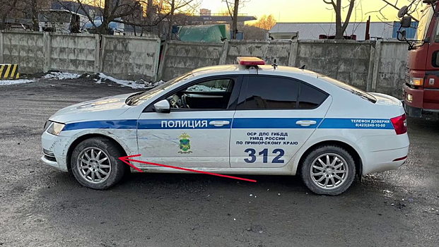 Во Владивостоке водитель иномарки пытался подраться с силовиками